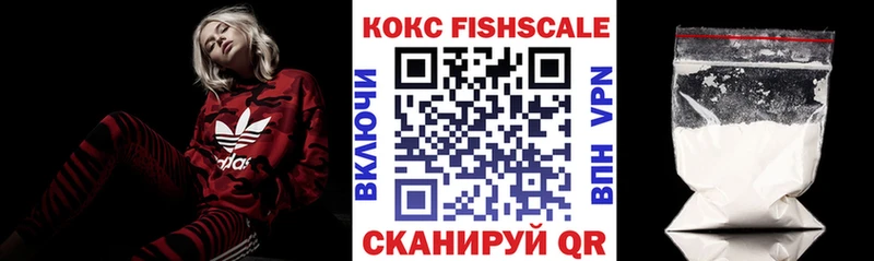Cocaine FishScale  МЕГА ONION  Любань 