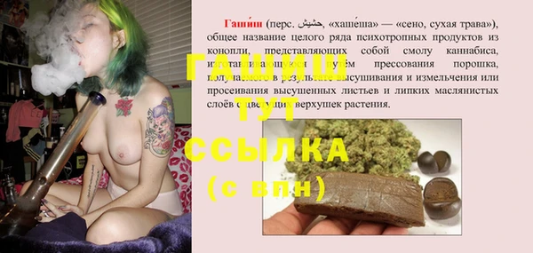 индика Алзамай