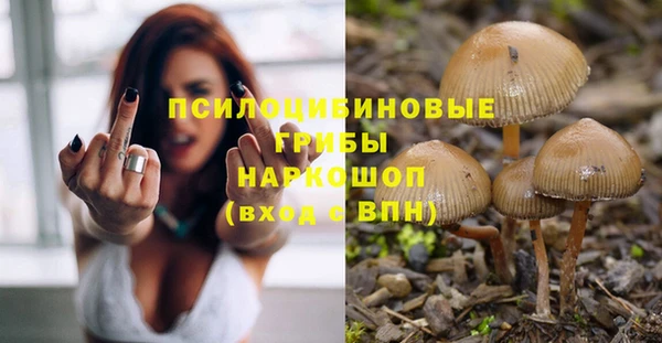 индика Алзамай