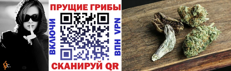 hydra маркетплейс  Любань  Галлюциногенные грибы Cubensis 
